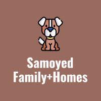 Samoyed Puppies For Sale  